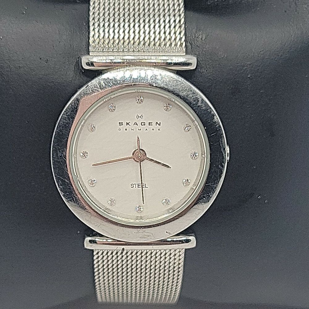 Skagen Classic 107SSSD Women's Stainless Steel Analog Dial Quartz Watch AM626
